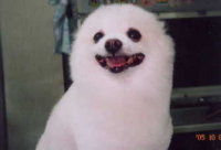 ٥