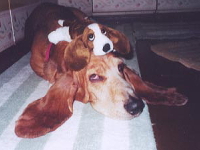 Annie
