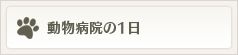 動物病院の1日