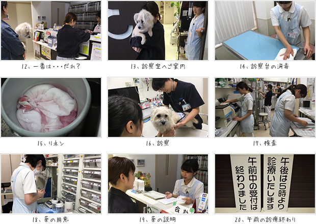 消毒、診察、検査、処置、薬の用意、薬の説明風景の写真