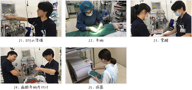 OPE準備、麻酔・手術・覚醒、片付け、減菌風景の写真