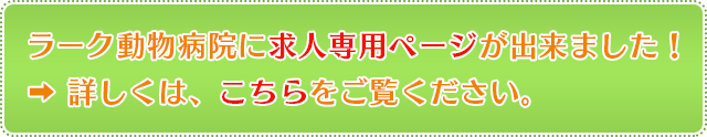 ラーク動物病院に求人専用ページが出来ました！詳しくはこちらをご覧ください。