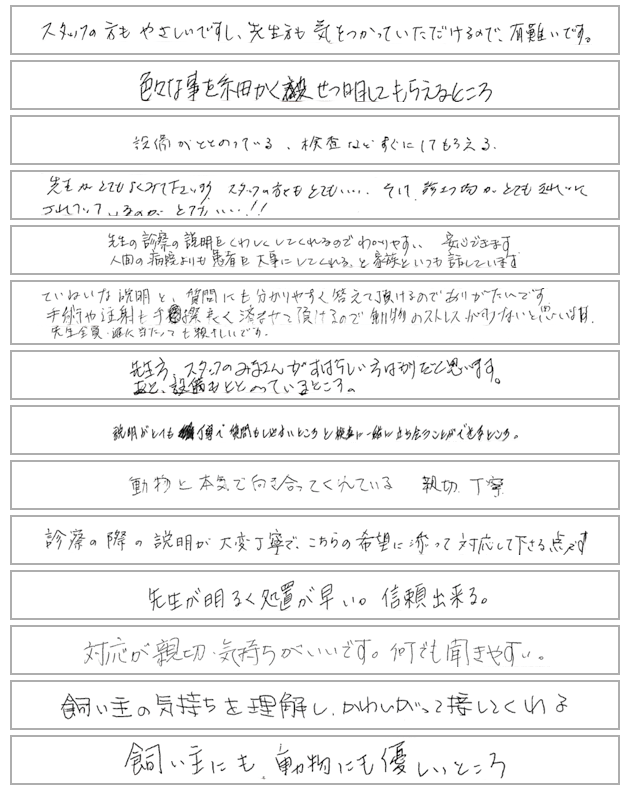 お客様の声一覧